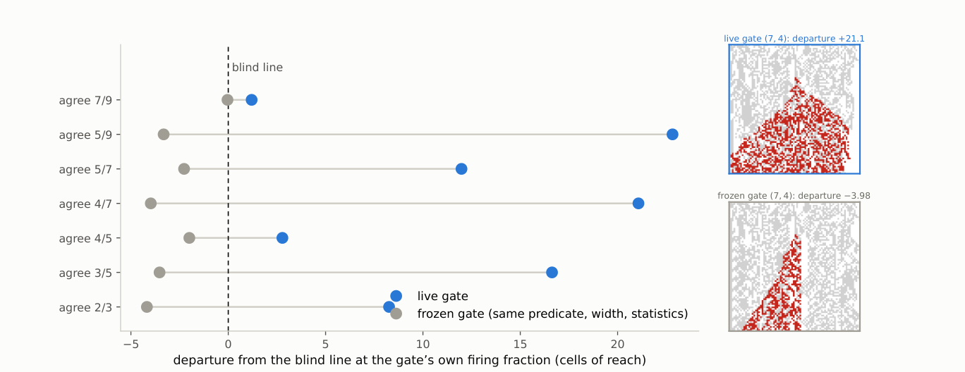 Paired dots for seven configurations: a live gate (blue) always moves further from the baseline than a frozen gate (grey) with the same statistics; beside them, two cellular-automaton runs.